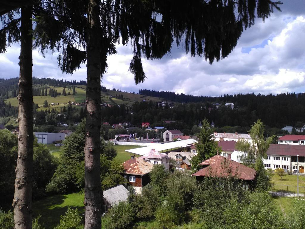 Vila Dariana Vatra Dornei Exterior foto