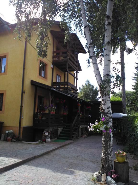 Vila Dariana Vatra Dornei Exterior foto
