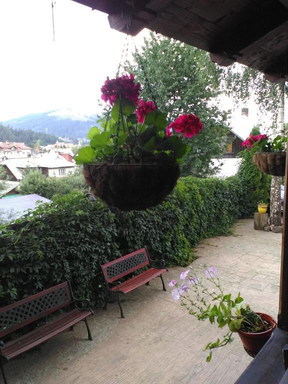 Vila Dariana Vatra Dornei Exterior foto
