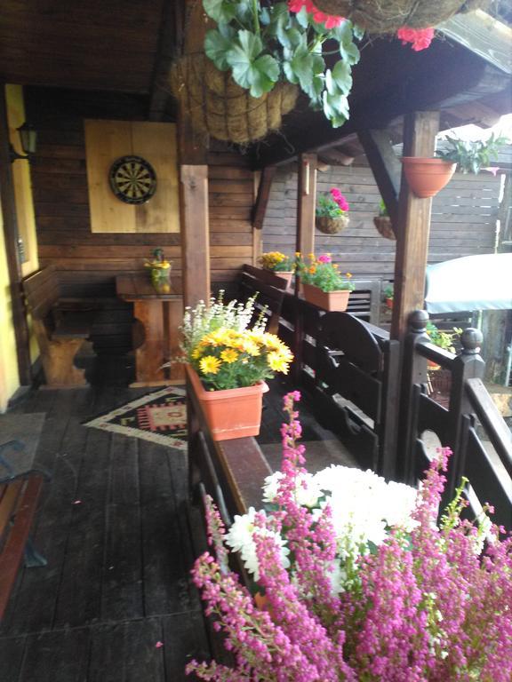 Vila Dariana Vatra Dornei Zimmer foto